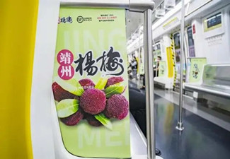 懷化竣州楊梅長沙地鐵廣告案例