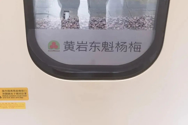 東魁楊梅高鐵列車廣告