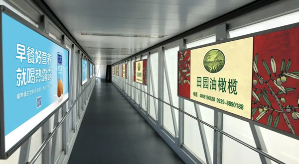 橄欖油機場廊橋廣告